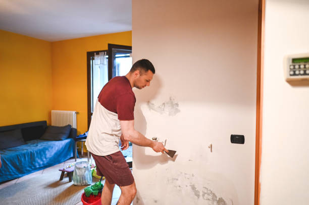 Best Best Mold Removal Companies  in Sissonville, WV